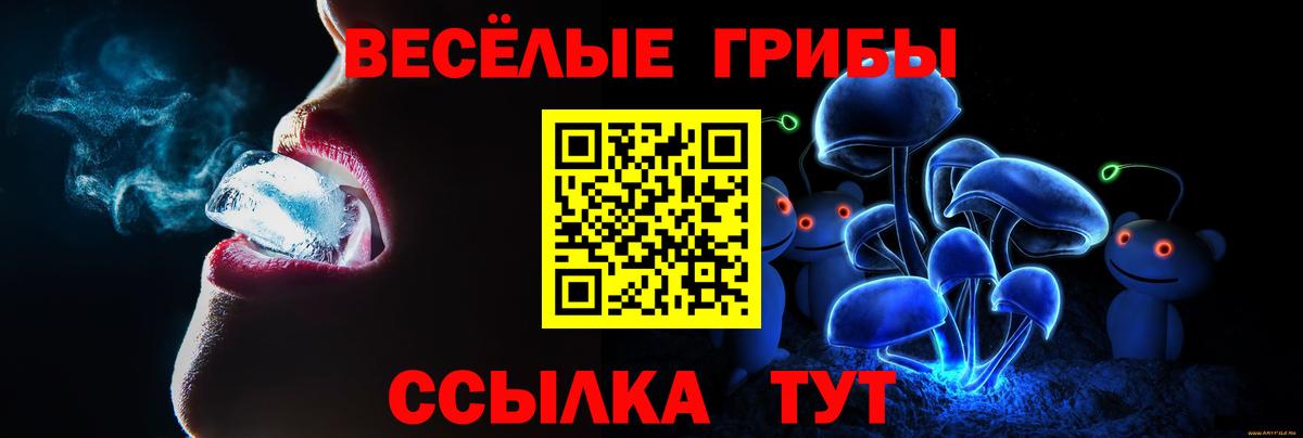 Галлюциногенные грибы мицелий Архангельск